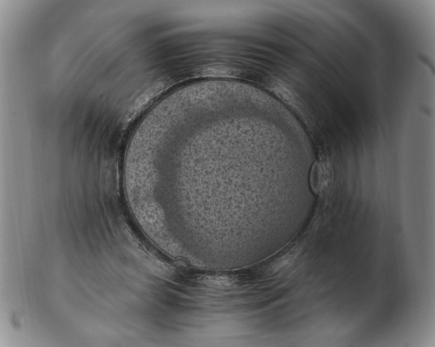 X0000103140349200809051620