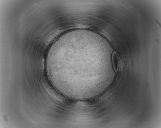 X0000103140350200809051620