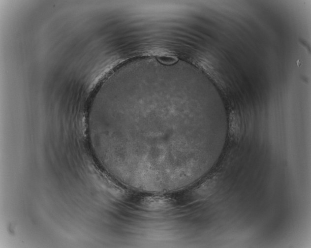 X0000103140351200809051620