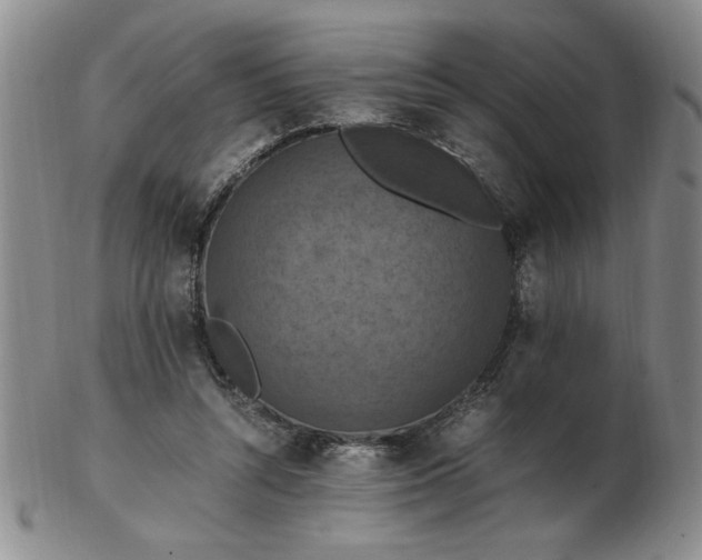 X0000103140352200809051620