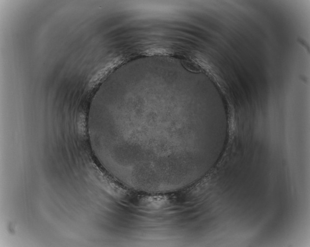 X0000103140353200809051620