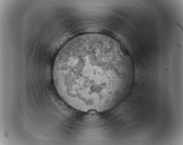 X0000103140354200809051620