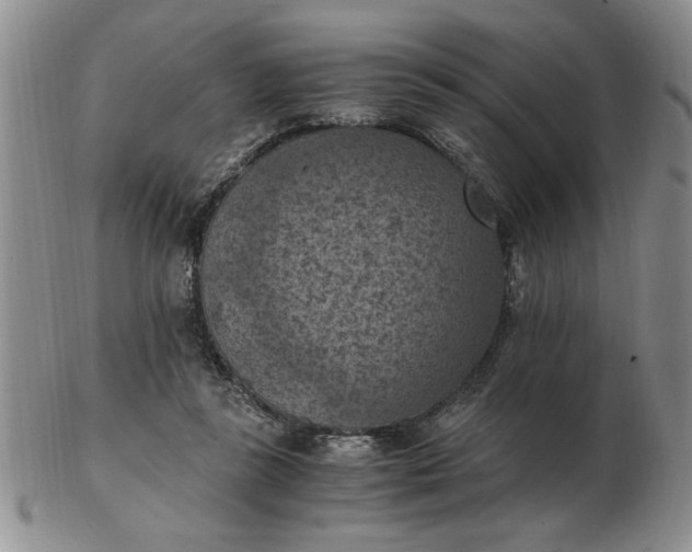 X0000103140355200809051620