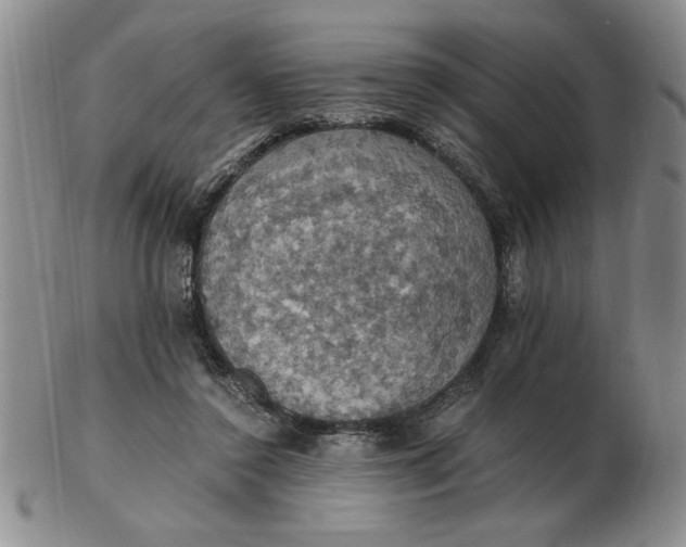 X0000103140356200809051620