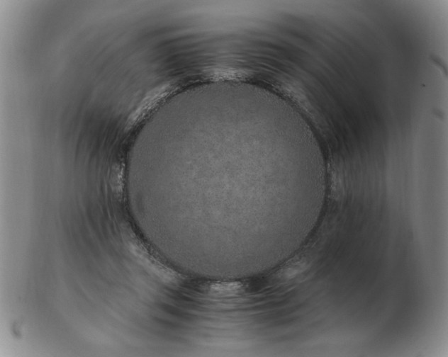 X0000103140357200809051620