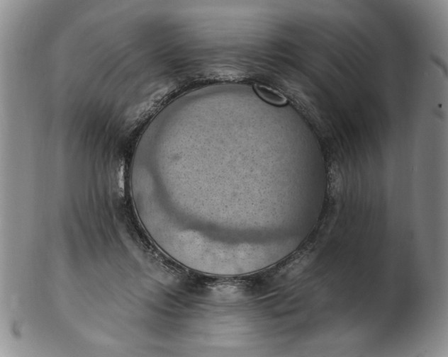 X0000103140358200809051620