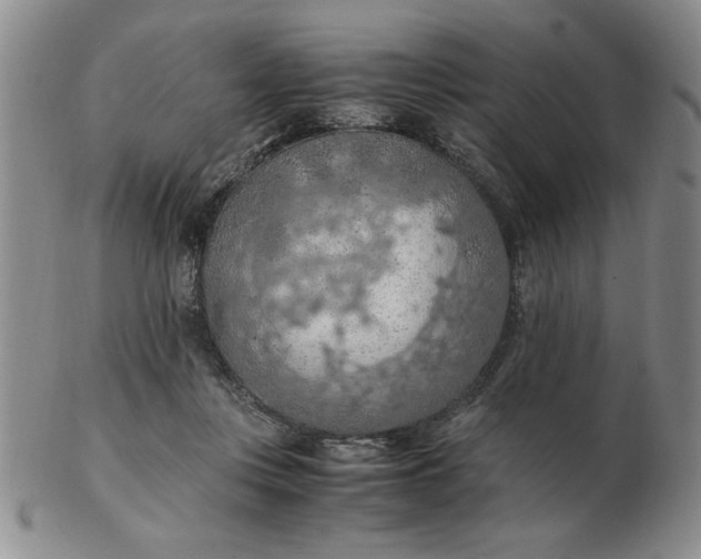 X0000103140359200809051620