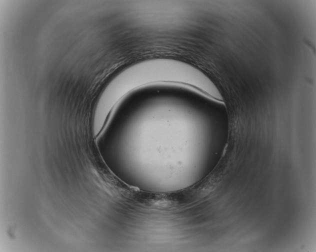 X0000103140360200809051620