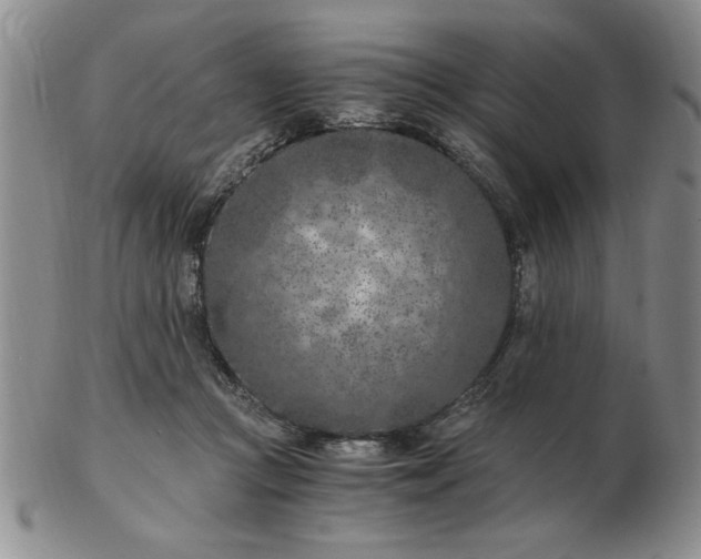 X0000103140361200809051620