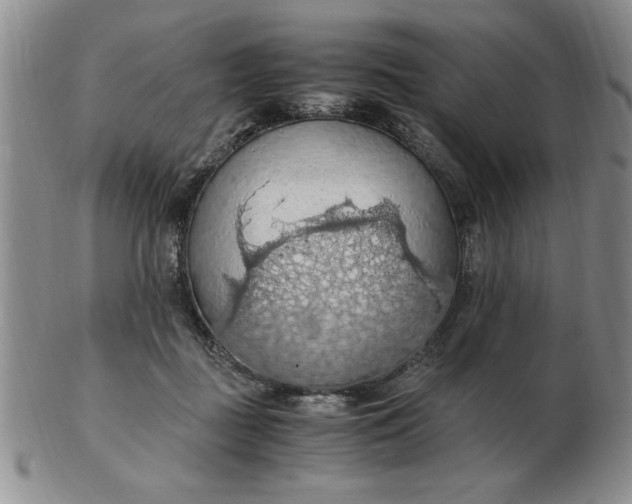 X0000103140363200809051620