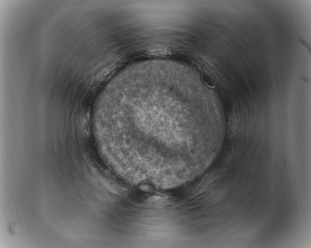 X0000103140364200809051620