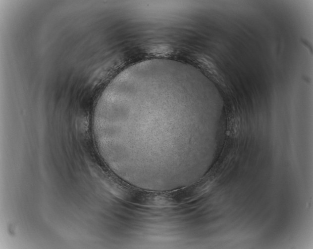 X0000103140365200809051620