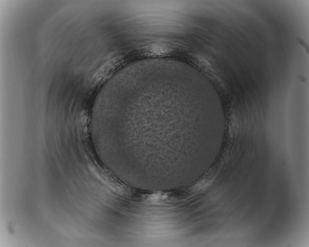 X0000103140366200809051620