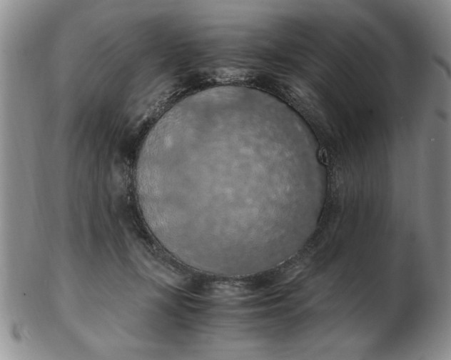 X0000103140367200809051620