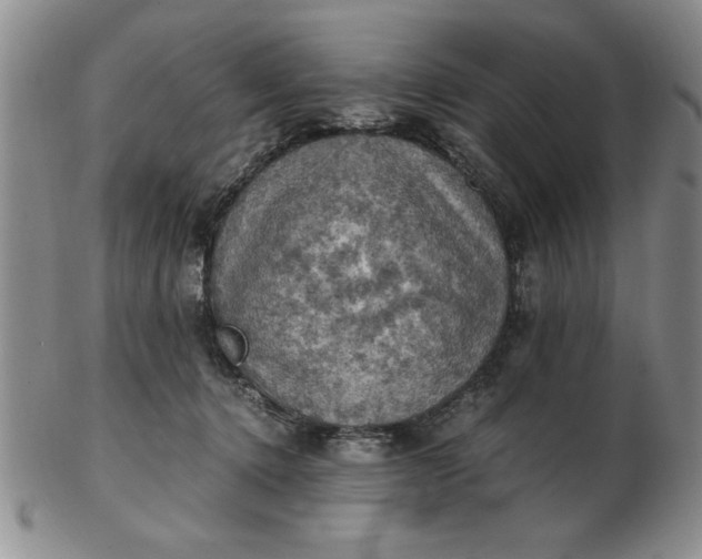 X0000103140368200809051620