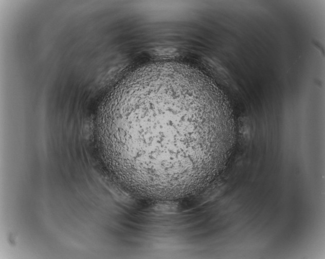 X0000103140369200809051620