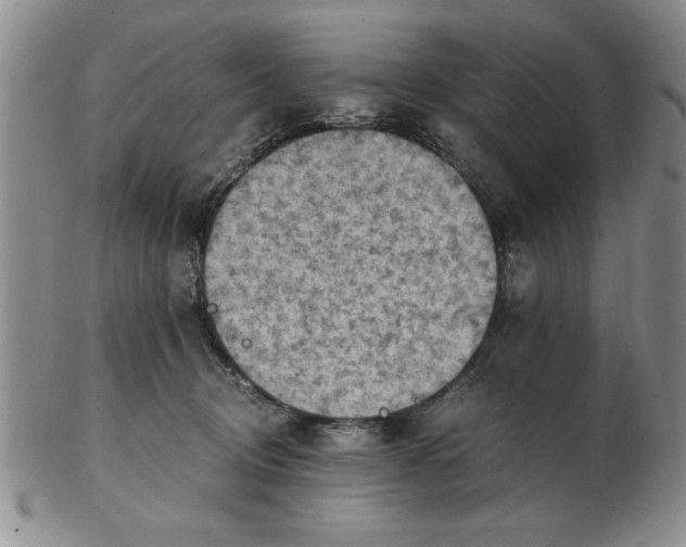 X0000103140370200809051620