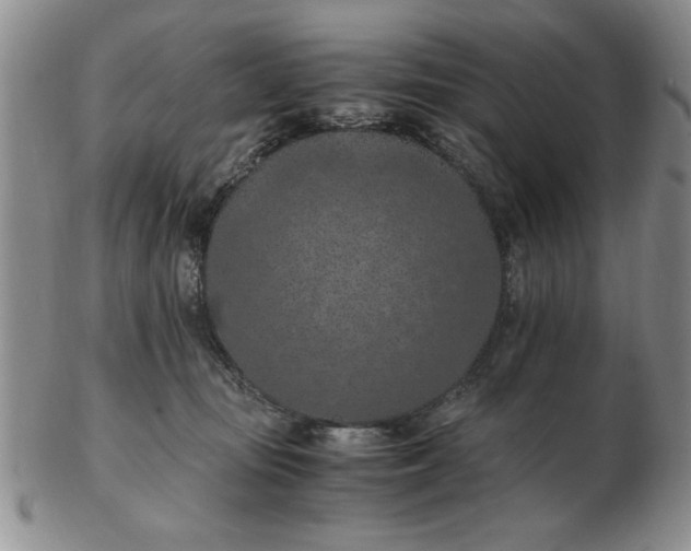 X0000103140371200809051620