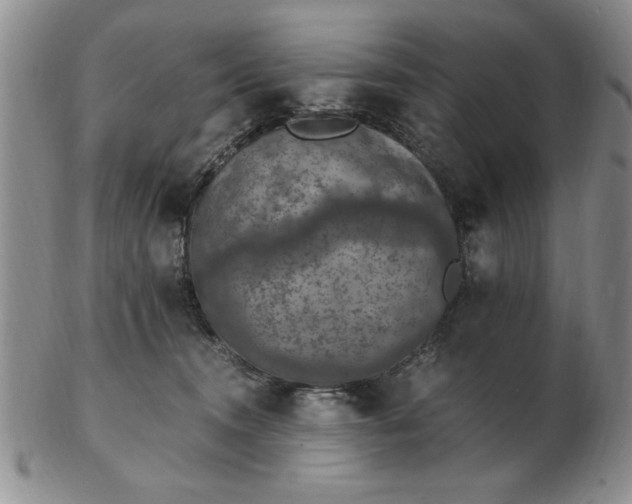 X0000103140372200809051620