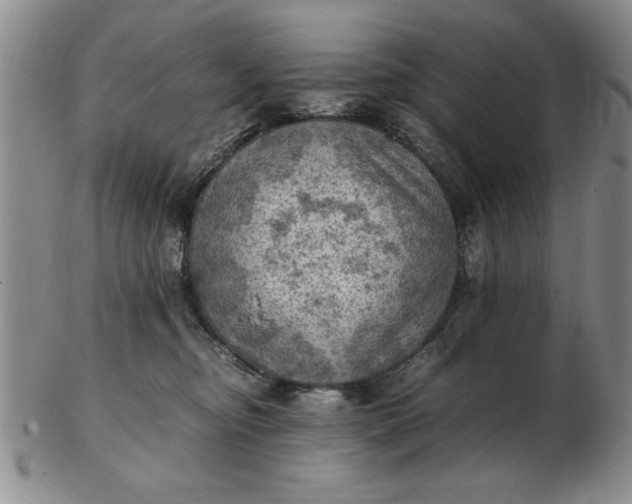 X0000103140374200809051620