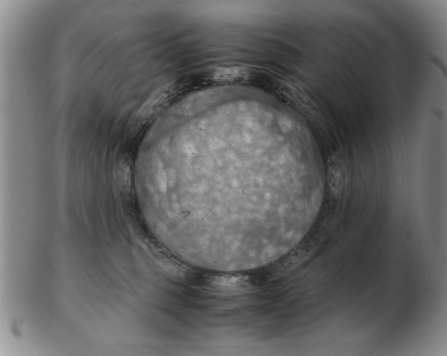 X0000103140375200809051620