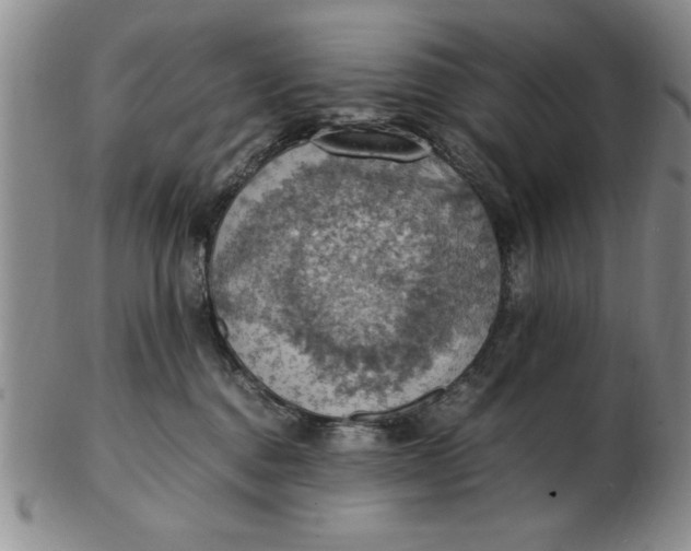 X0000103140376200809051620