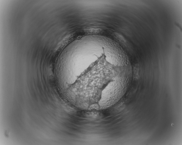 X0000103140377200809051620