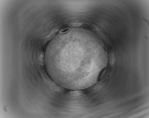 X0000103140378200809051620