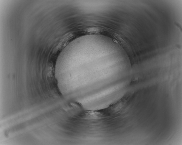 X0000103140379200809051620