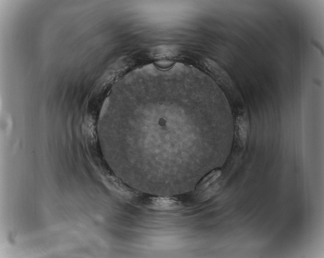 X0000103140380200809051620