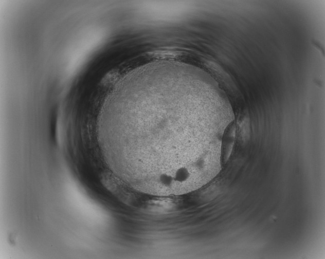 X0000103140381200809051620