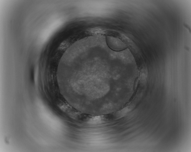 X0000103140382200809051620