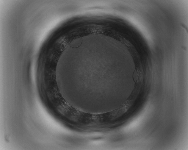 X0000103140383200809051620