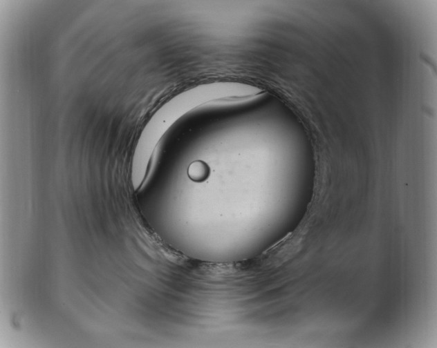 X0000103140384200809051620