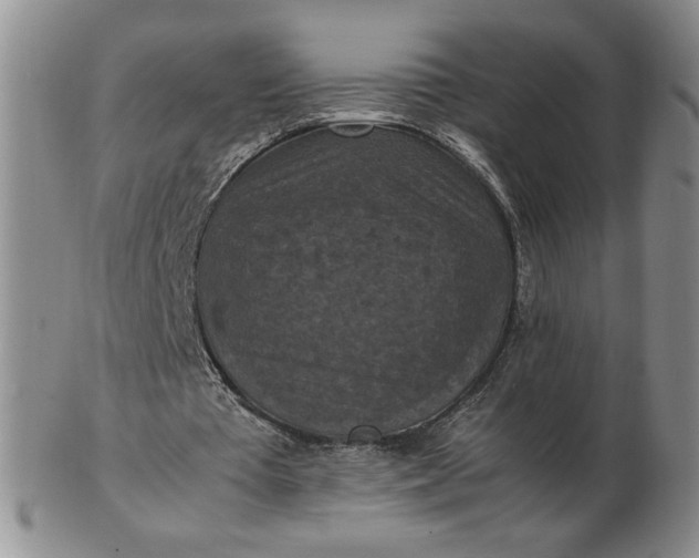 X0000103140385200809051619