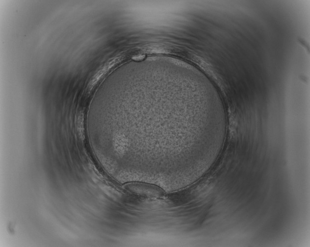 X0000103140386200809051619