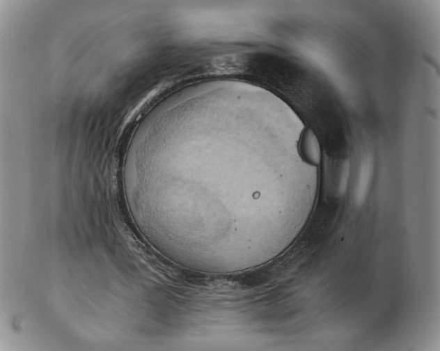 X0000103140387200809051619