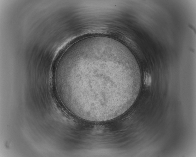 X0000103140388200809051619