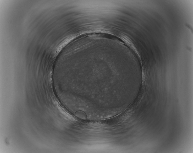 X0000103140389200809051619