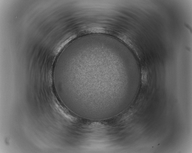 X0000103140390200809051619