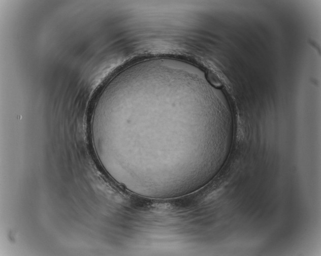 X0000103140391200809051619