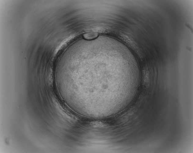 X0000103140392200809051619