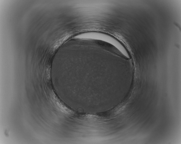 X0000103140393200809051619