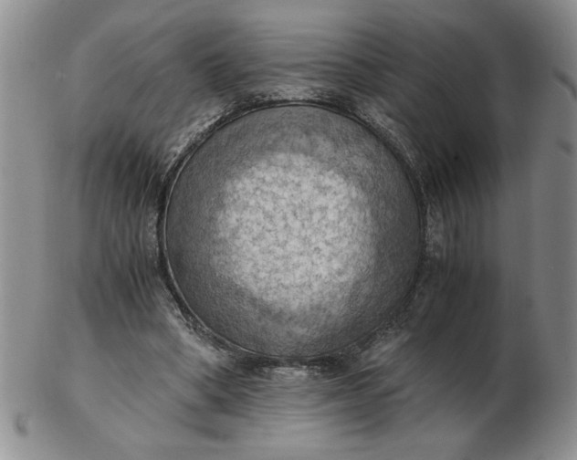 X0000103140394200809051619