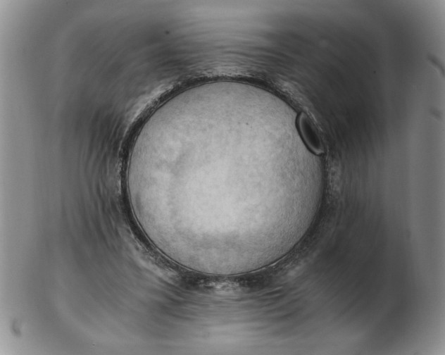 X0000103140395200809051619