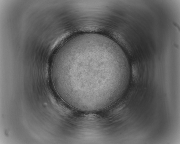 X0000103140396200809051619