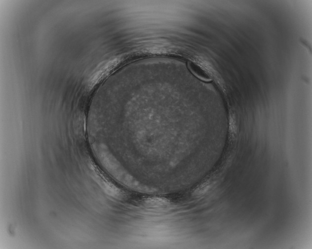 X0000103140397200809051619