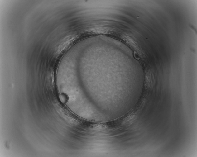 X0000103140398200809051619