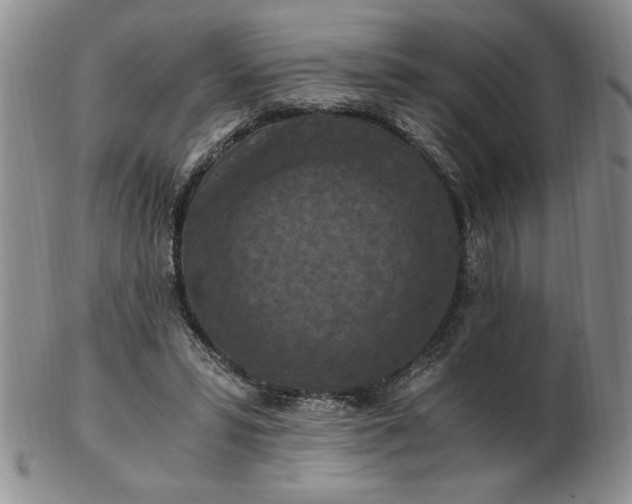 X0000103140399200809051619