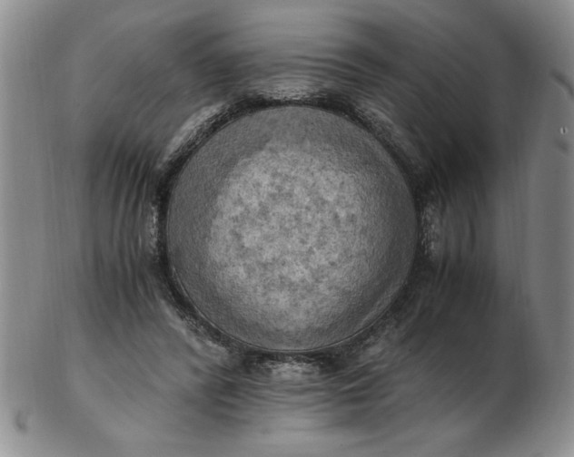 X0000103140400200809051619